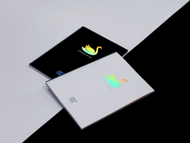 VDMB Jahresbericht Wiesendanger medien, UV-Offset, Fadenstichheftung