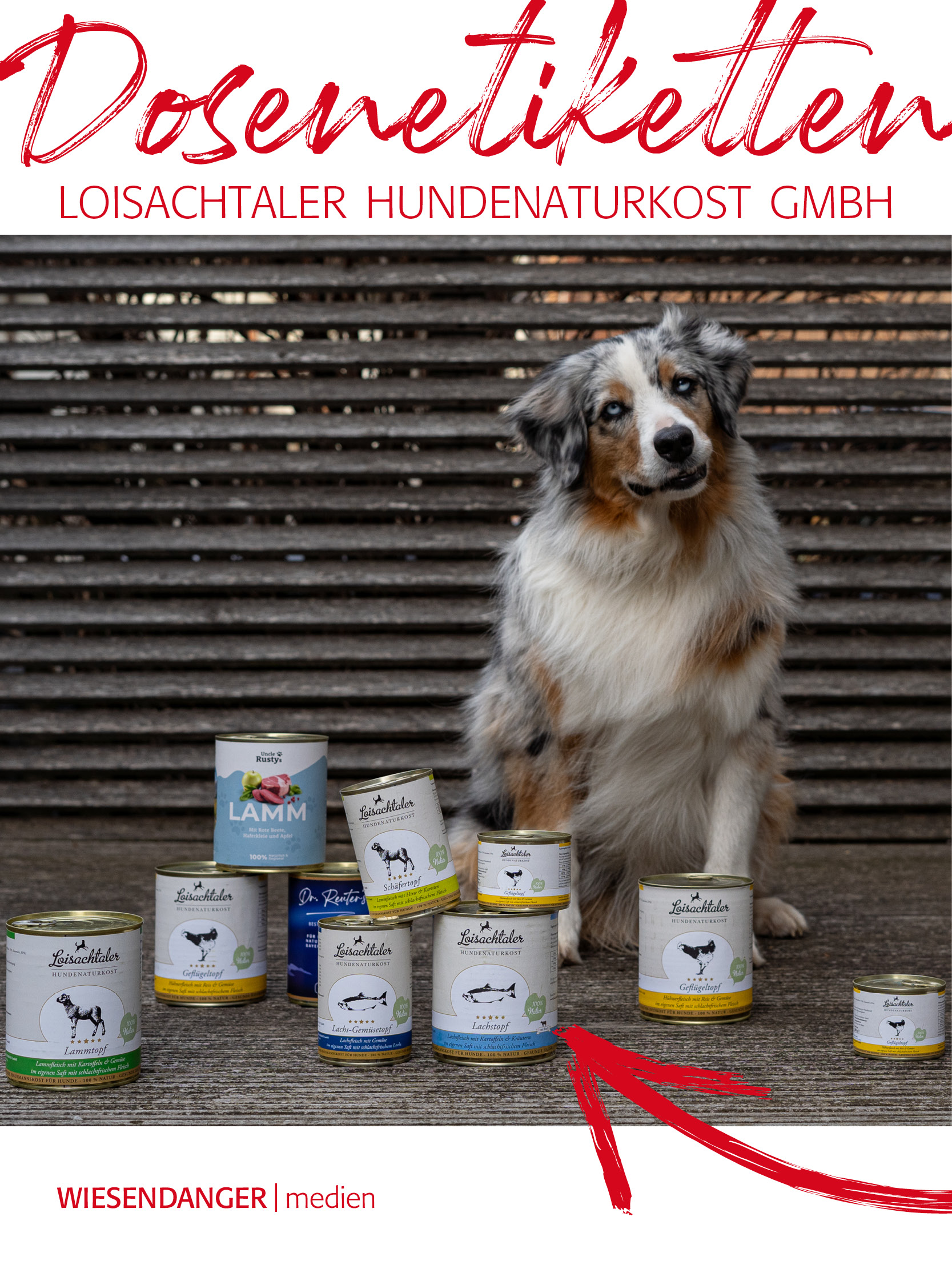 Blog 62 Dosenetiketten 6